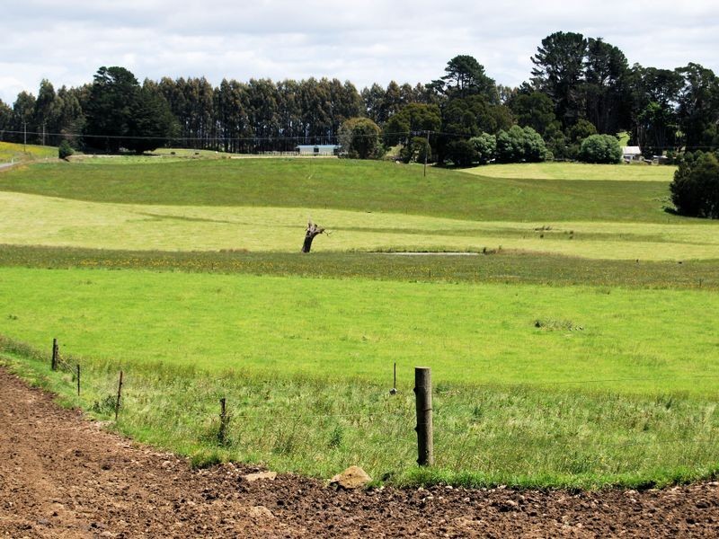 1353 Oldina Road, Oldina TAS 7325