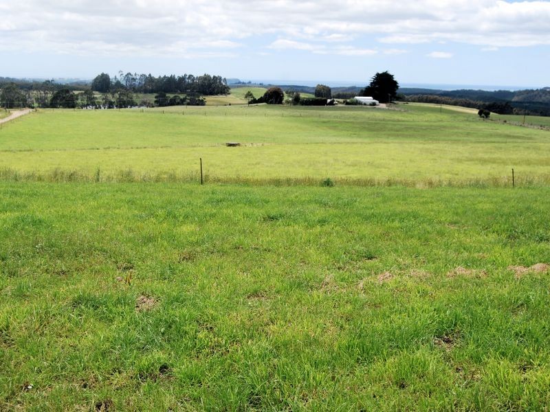 1353 Oldina Road, Oldina TAS 7325