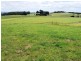 1353 Oldina Road, Oldina TAS 7325