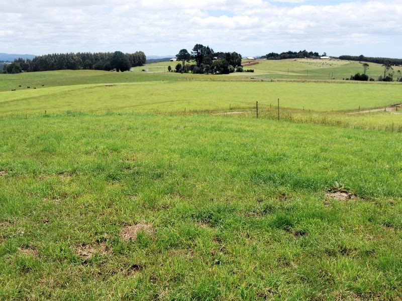 1353 Oldina Road, Oldina TAS 7325