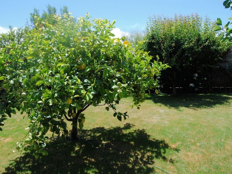 11 Lockett Street, Wynyard TAS 7325