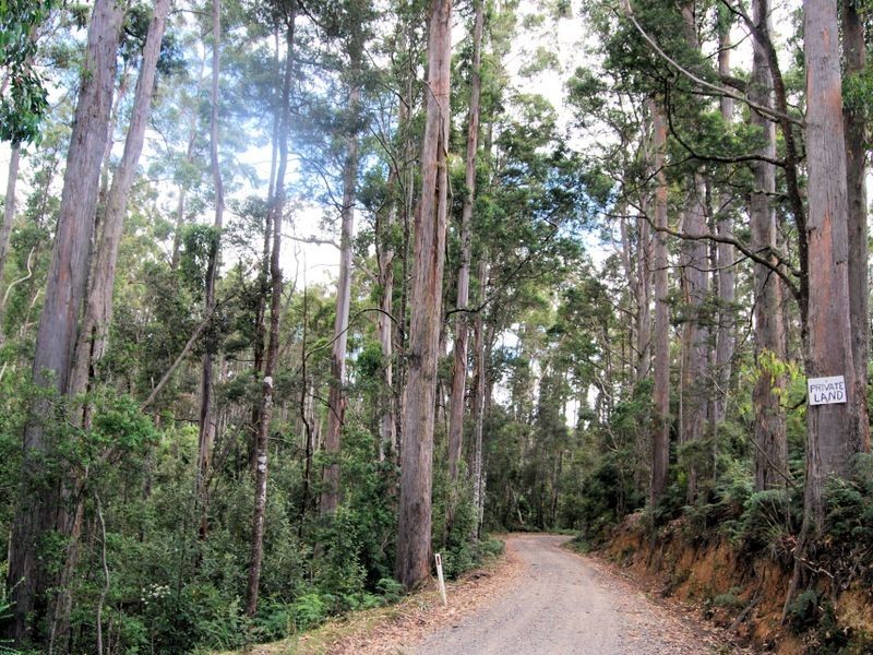 267 Reservoir Drive, Wynyard TAS 7325