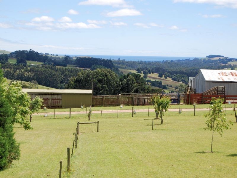 59 Shepperds Lane, Elliott TAS 7325