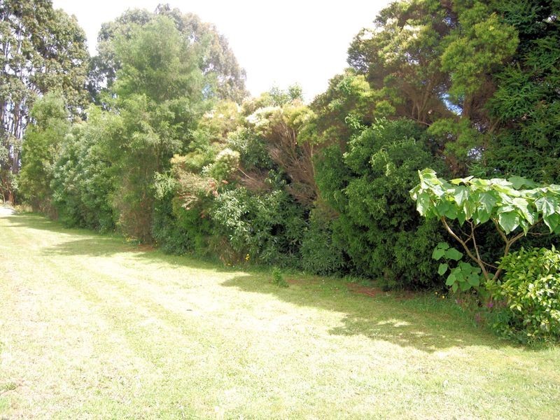 59 Shepperds Lane, Elliott TAS 7325