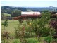 59 Shepperds Lane, Elliott TAS 7325