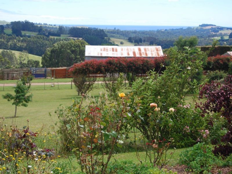 59 Shepperds Lane, Elliott TAS 7325