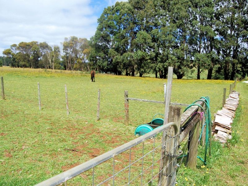 59 Shepperds Lane, Elliott TAS 7325