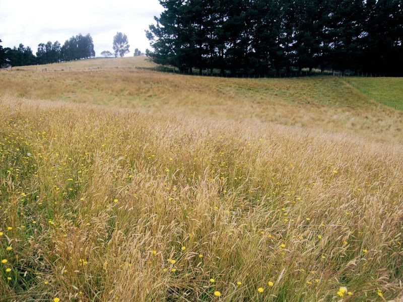 45 Lapoinya Road, Moorleah TAS 7325