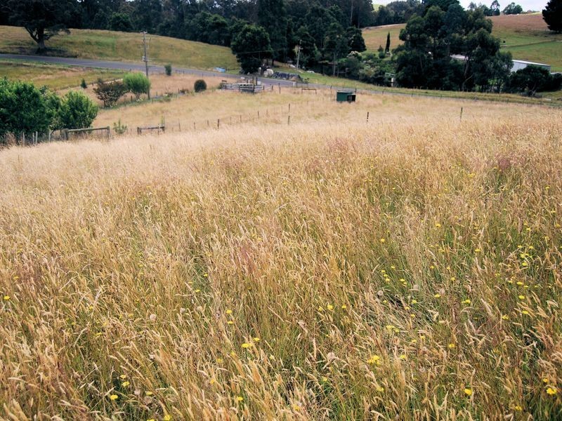 45 Lapoinya Road, Moorleah TAS 7325