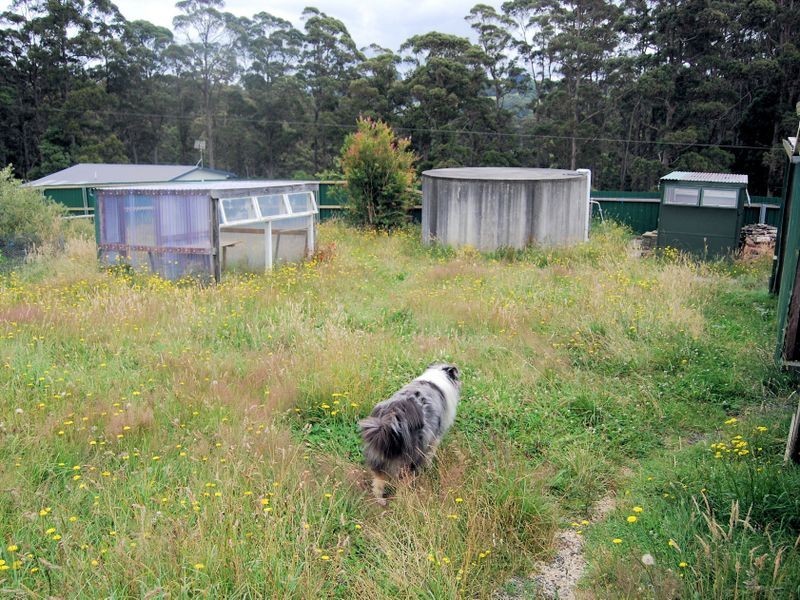 45 Lapoinya Road, Moorleah TAS 7325