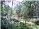 Bassetts Road, Calder TAS 7325