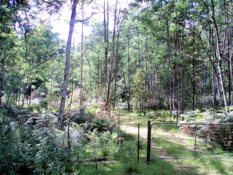 Bassetts Road, Calder TAS 7325