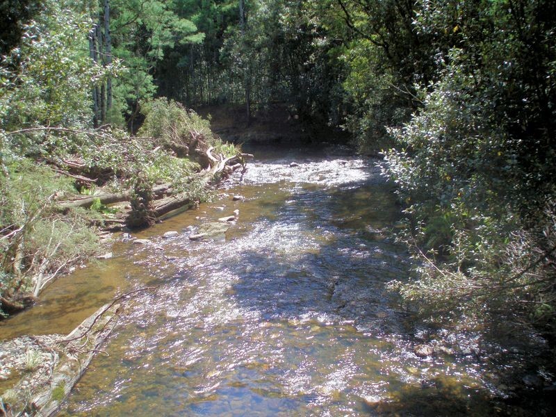 Bassetts Road, Calder TAS 7325