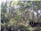 Bassetts Road, Calder TAS 7325
