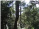 Bassetts Road, Calder TAS 7325