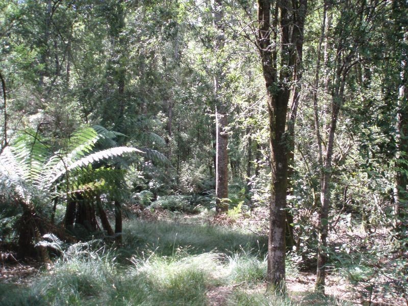 Bassetts Road, Calder TAS 7325