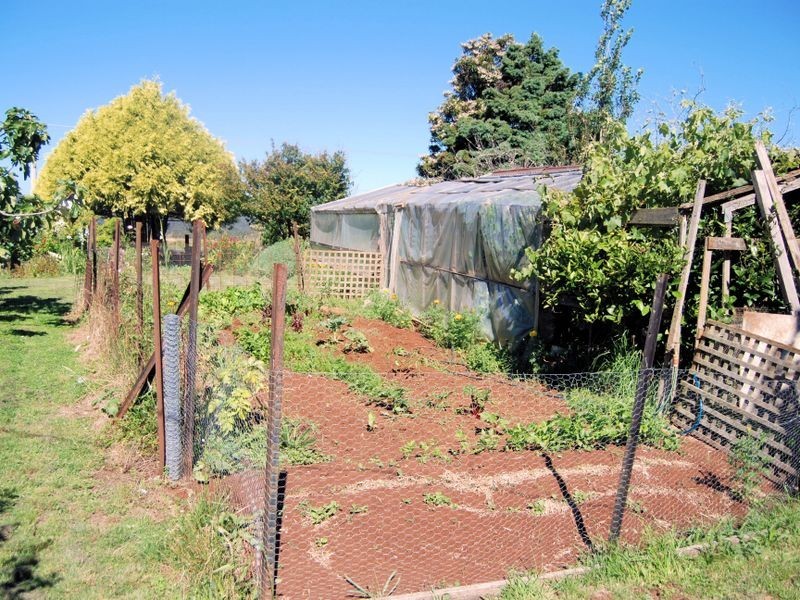 560 Murchison Highway, Elliott TAS 7325