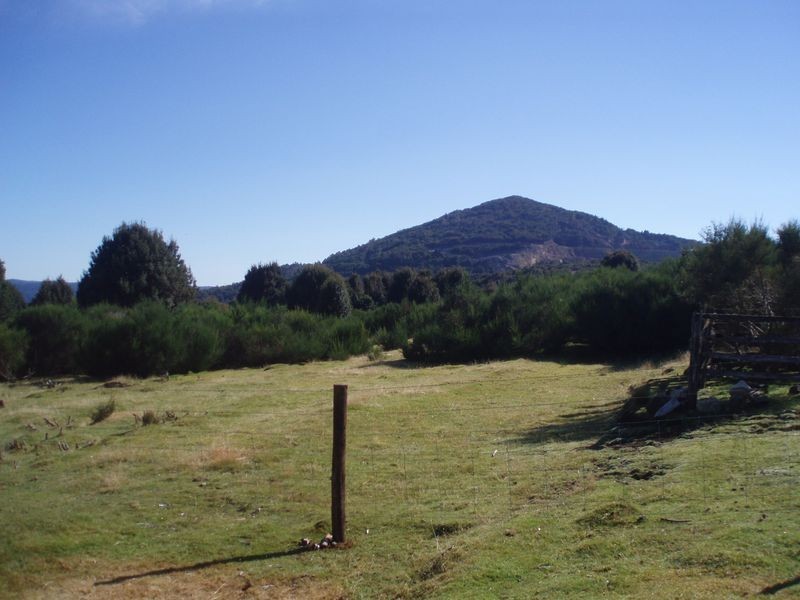 Walker Street, Waratah TAS 7321