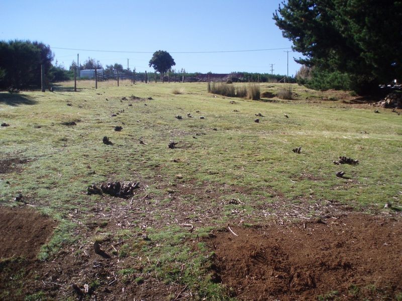 Walker Street, Waratah TAS 7321