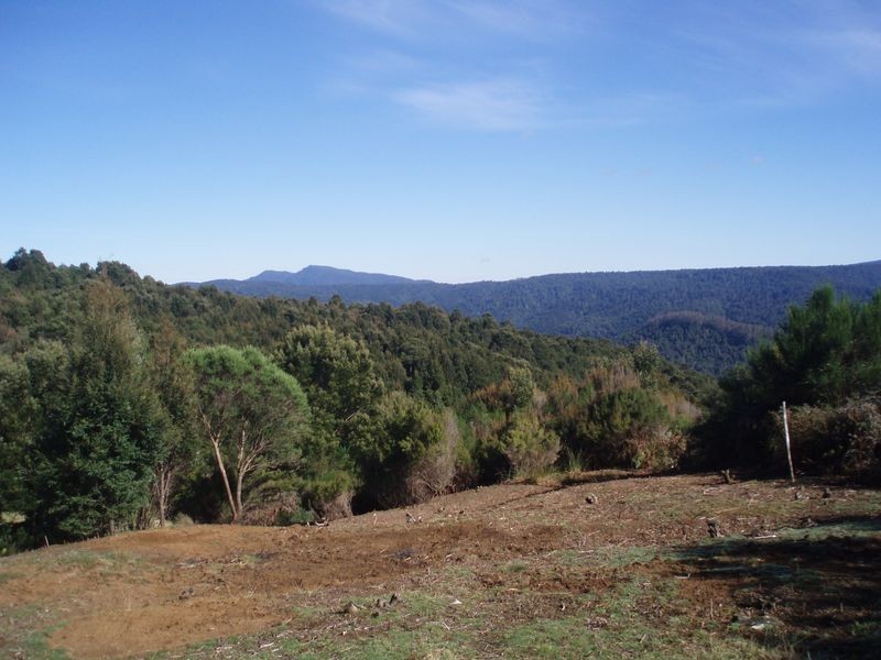 Walker Street, Waratah TAS 7321