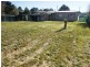 39 Leventhorpe Street, Zeehan TAS 7469