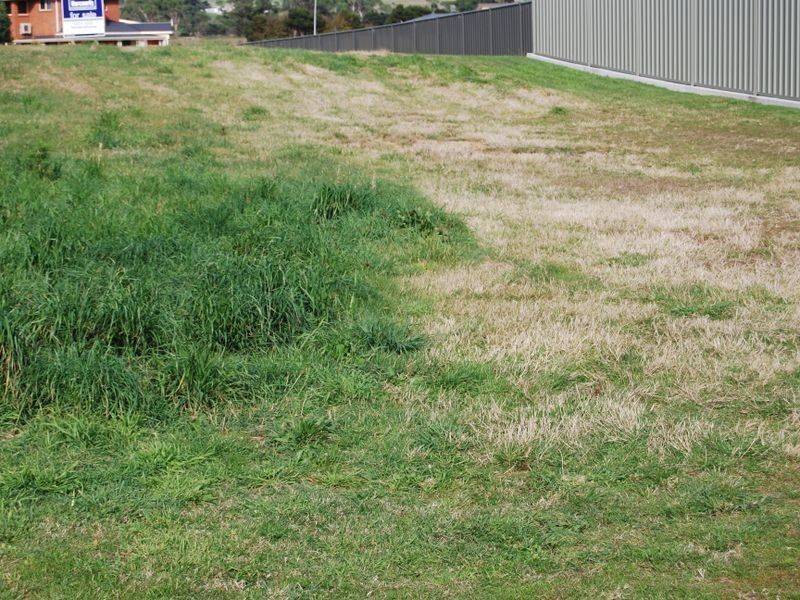 89d Old Bass Highway, Wynyard TAS 7325