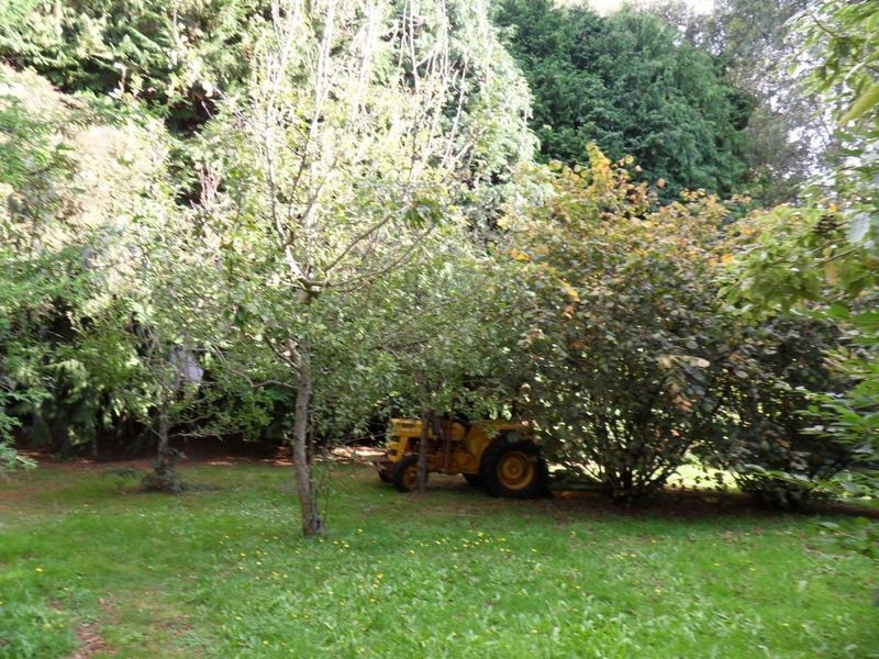 870 Murchison Highway, Elliott TAS 7325