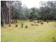 139 Bassetts Road, Calder TAS 7325