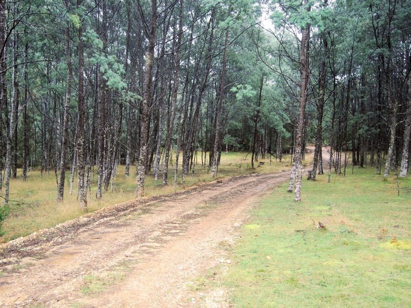 139 Bassetts Road, Calder TAS 7325
