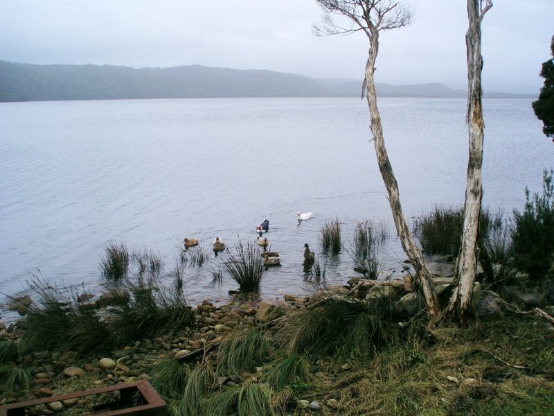 Lettes Bay Road, Strahan TAS 7468