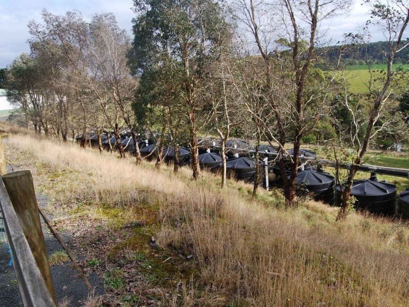 900 Myalla Road, Calder TAS 7325