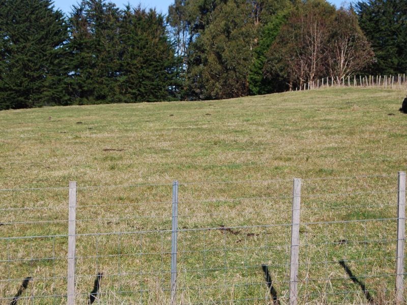 1488 Calder Road, Wynyard TAS 7325