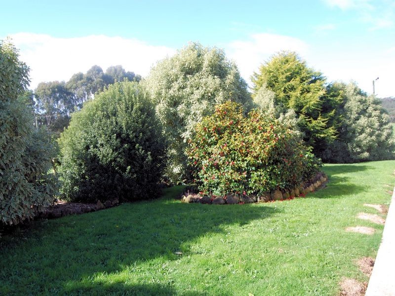 226 Deep Creek Road, Wynyard TAS 7325