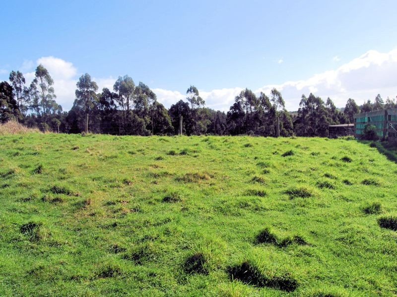 226 Deep Creek Road, Wynyard TAS 7325