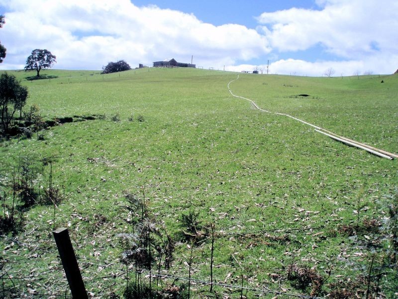 260 Ten Foot Track, Preolenna TAS 7325