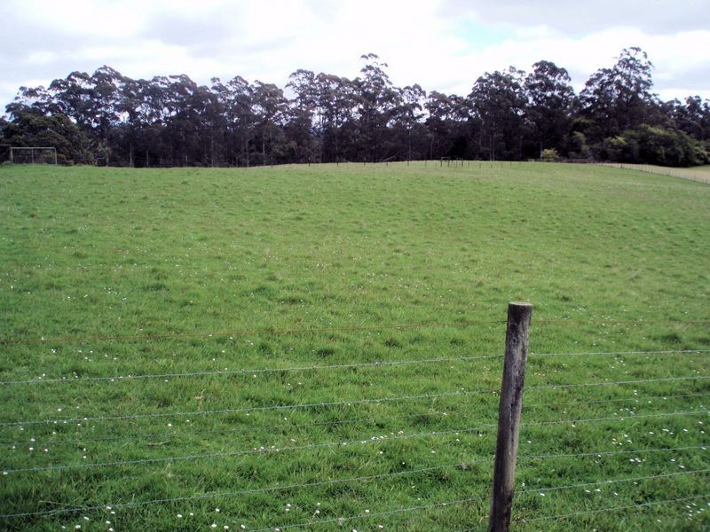 260 Ten Foot Track, Preolenna TAS 7325