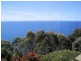 428 Tollymore Road, Table Cape TAS 7325