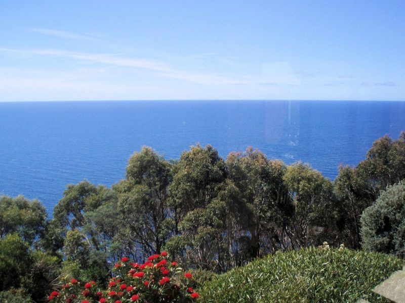 428 Tollymore Road, Table Cape TAS 7325