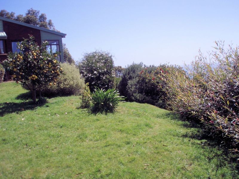 428 Tollymore Road, Table Cape TAS 7325