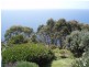 428 Tollymore Road, Table Cape TAS 7325