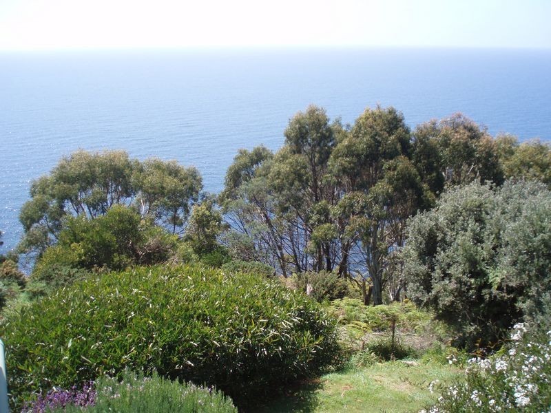 428 Tollymore Road, Table Cape TAS 7325