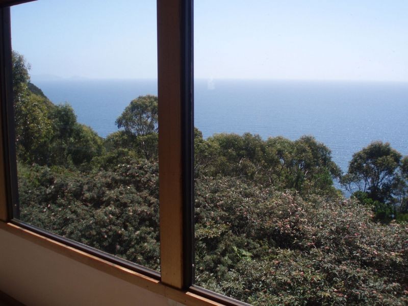 428 Tollymore Road, Table Cape TAS 7325
