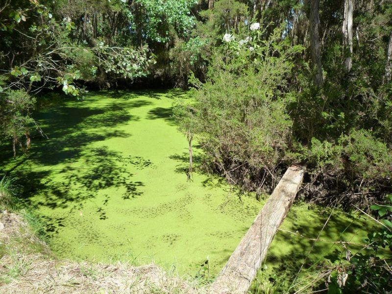 97 Old Bass Highway, Wynyard TAS 7325