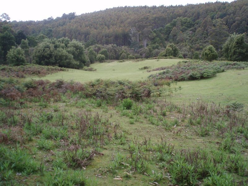 317 Ten Foot Track, Preolenna TAS 7325