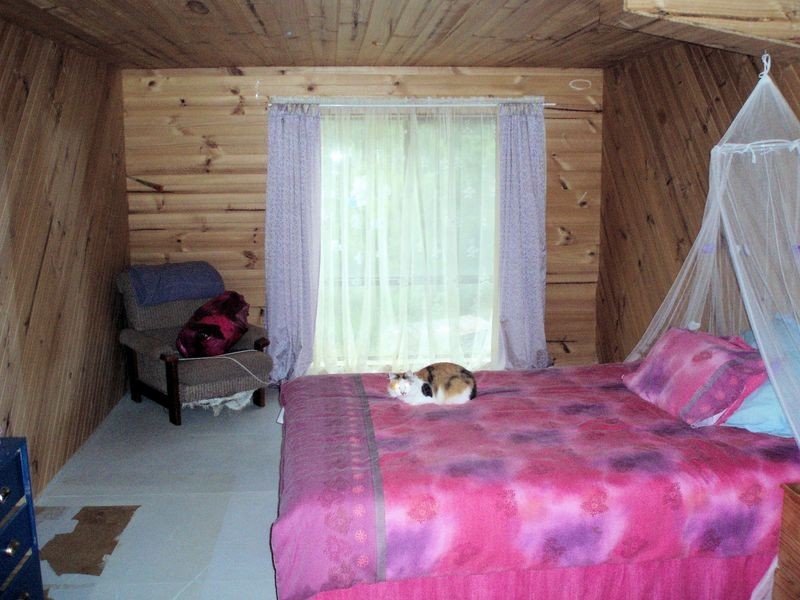 317 Ten Foot Track, Preolenna TAS 7325