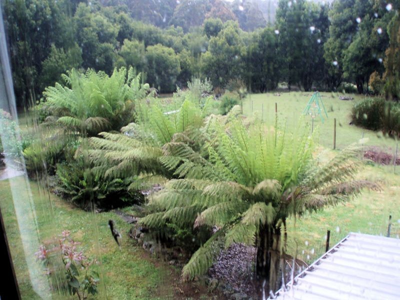 317 Ten Foot Track, Preolenna TAS 7325