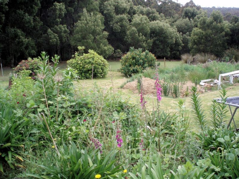 317 Ten Foot Track, Preolenna TAS 7325