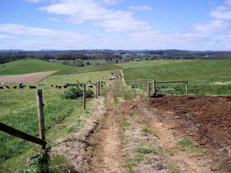 75 Preolenna Road, Flowerdale TAS 7325