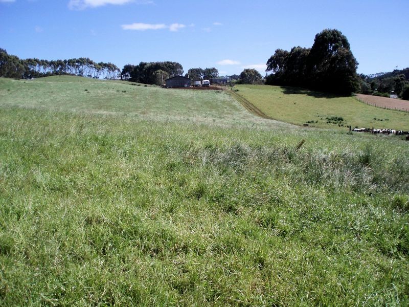 75 Preolenna Road, Flowerdale TAS 7325