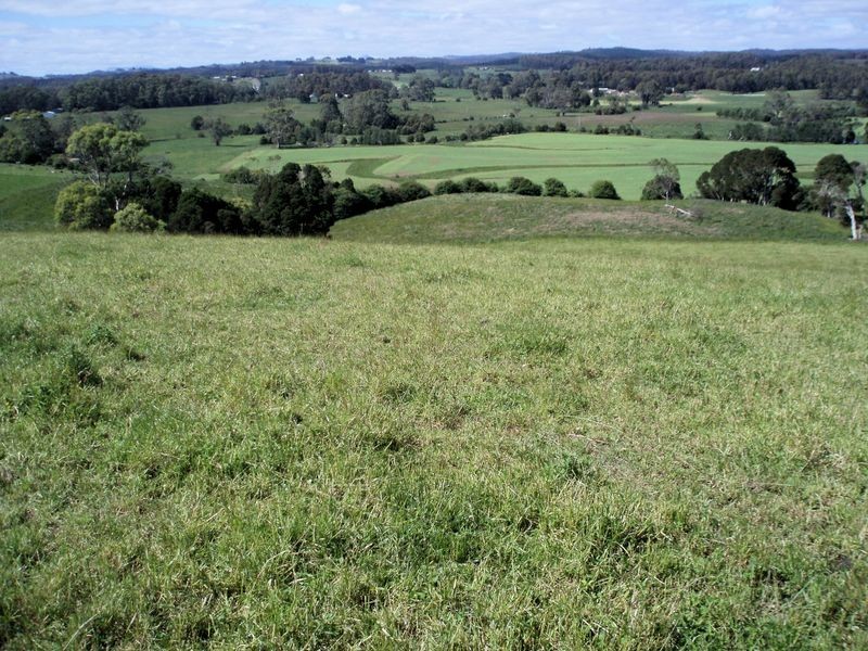 75 Preolenna Road, Flowerdale TAS 7325